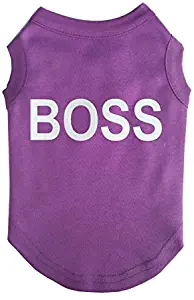 Fashion Shop Boss Letter Printing Cotton Dog T-shirt Multi Color for Choose-Purple S
