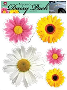Daisy Flower Pack Magnet