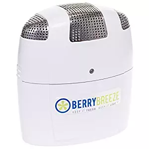 BerryBreeze Activated Oxygen Refrigerator Deodorizer by BerryBreeze