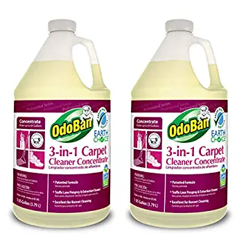 OdoBan Professional Cleaning 3-in-1 Carpet Cleaner Concentrate, 1 Gallon, 2-Pack