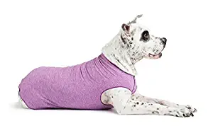 Gold Paw Sun Shield Dog Tee – T-Shirt for Canines – UV Protection, Pet Anxiety Relief, Wound Care – Prevents Foxtails, Alopecia - Machine Washable, All Season