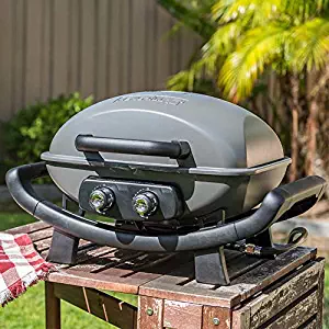 Nexgrill Fortress 2 Burner Cast Aluminum Table Top Gas Grill, Heavy Duty, Push and Turn Ignition with Built-In Thermometer