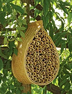 Gardener's Supply Company Mason Bee House