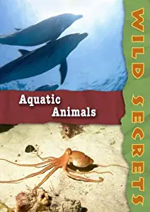 Wild Secrets: Aquatic Animals (Home Use)