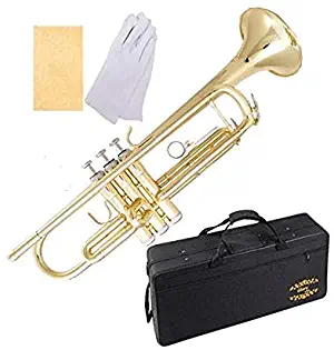 Glory Brass Bb Trumpet with Pro Case +Care Kit, Gold, No NEED TUNING,Play directlly. More COLORS Available ! CLICK on LISTING to SEE All Colors