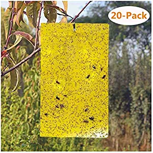 BestTrap ST2035 Sticky Traps, Flying Traps for Fruit Fly, Fungus Gnats, Aphids, Other Flying Insects, 6x8 Inch, 20 Pack - Yellow