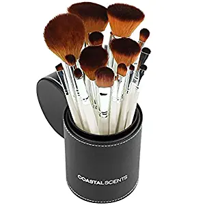 Coastal Scents 16 Piece Pearl Brush Set in Travel Cup (BR-SET-022)