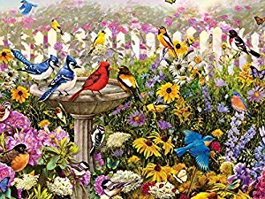 Songbirds At The Birdbath F1 -Oil Painting On Canvas Modern Wall Art Pictures For Home Decoration Wooden Framed (20X16 Inch, Framed)