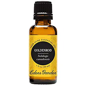 Edens Garden Goldenrod Essential Oil, 100% Pure Therapeutic Grade (Highest Quality Aromatherapy Oils- Massage & Skin Care), 30 ml