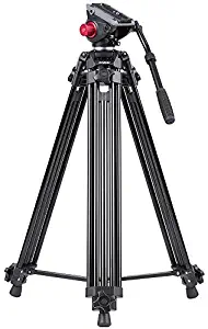 Andoer Professional Video Tripod System-67 Inch Professional Heavy Duty Aluminum Tripod with Detachable Fluid Drag Pan Tilt Head and Quick Release Plate Max Load 10kg/22lbs for Video Camcorder