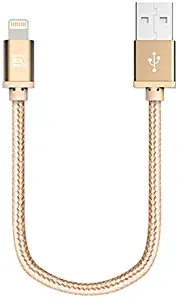 LAX iPhone Charger Lightning Cable - MFi Certified Durable Braided Apple Lightning USB Cord for iPhone 11/11 Pro Max/XS Max/X/iPad, iPod & More