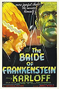 bride of FRANKENSTEIN campy classic MOVIE POSTER boris KARLOFF 24X36 bold (reproduction, not an original)