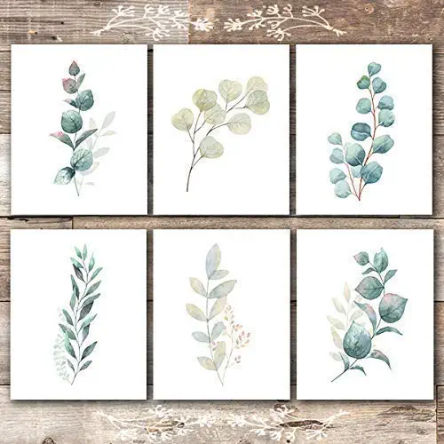 Botanical Prints Wall Art - Eucalyptus Leaves - (Set of 6) - Unframed - 8x10s