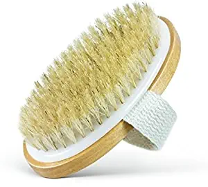 Dry Body Brush - 100% Natural Bristles - Cellulite Treatment, Increase Circulation and Tighten Skin. (Pack of 1)