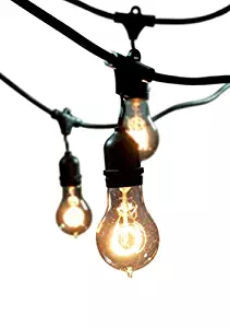 Bulbrite String15/E26-A19KT Nostalgic Edison Outdoor, Garden, Patio, Wedding, Party, Holiday, Lawn, and Landscape String Light with Vintage Edison Bulbs, 48-Feet, 15 Lights, Black