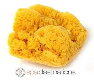 Spa Destinations Natural Silk Make Up Sponge (3 pk 1.5" to 2")