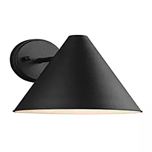 Sea Gull Lighting 8538501-12 One-Light Black Finish